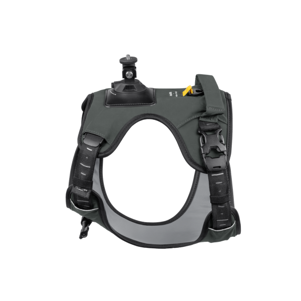 Pet Harness Mount Size L - Insta360 Store