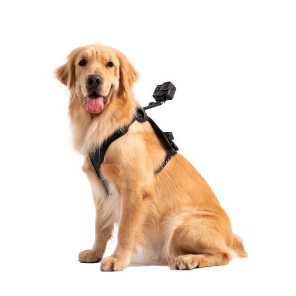 Pet Harness Mount Size L - Insta360 Store