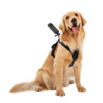 Pet Harness Mount Size L - Insta360 Store