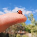 Insta360 Store: The Official Store for Insta360 Cameras, Accessories and Services