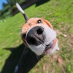 Insta360 Store: The Official Store for Insta360 Cameras, Accessories and Services