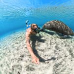 Insta360 X5 Invisible Dive Case - Insta360 Store